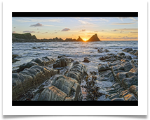 Hartland Quay - Tony Green